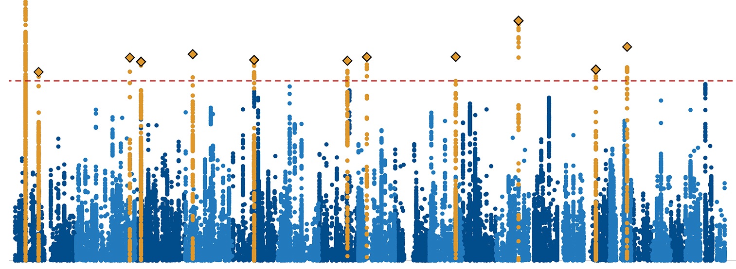 ADHD genome chart