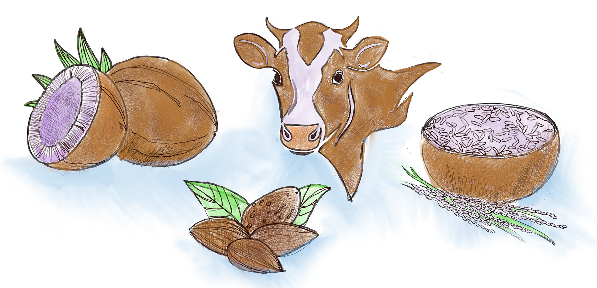 Products sold as milk come from coconuts, almonds, cows and rice.