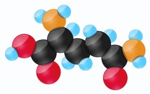 Some lung cancer cells are addicted to glutamine, the body’s most abundant amino acid. This is what a molecule of glutamine looks like.