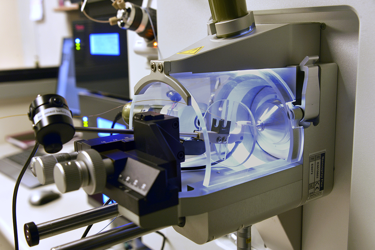 Close-up of the mass spectrometer’s nanospray ionization source, where molecules are converted into ions — a critical step in their detection. (photo by William Mueller)