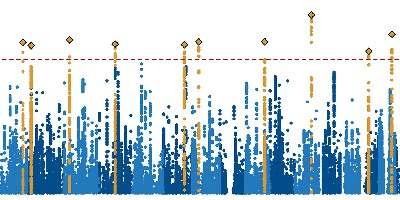 Science Is Art: A genomic view of a disorder