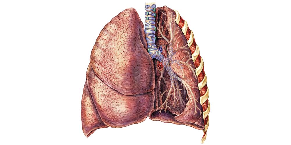 Who should be screened for lung cancer? People age 50 to 80 who have a 20 pack-year smoking history (a pack a day for 20 years, or the equivalent) and who currently smoke or have quit within the last 15 years.